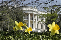 Nader at White House at Noon Today